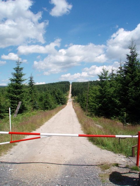 jizerky